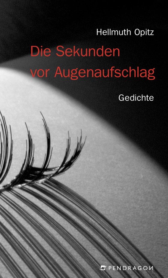 Buchcover: Die Sekunden vor Augenaufschlag von Hellmuth Opitz